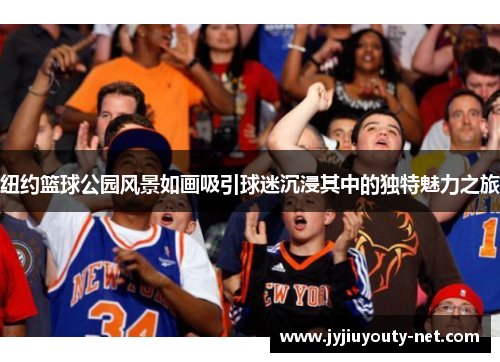 纽约篮球公园风景如画吸引球迷沉浸其中的独特魅力之旅